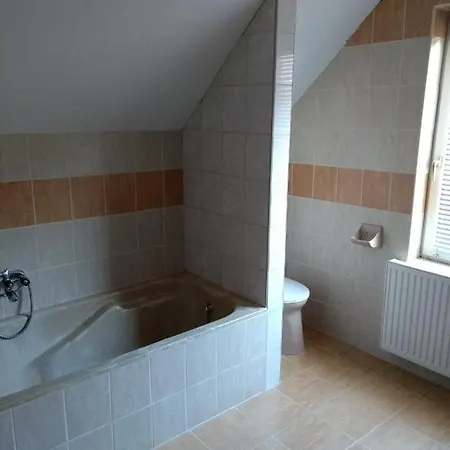 Guest house Gesztenyes Vendeghaz *